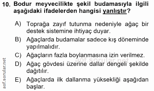 Soru 10