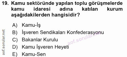 Soru 19