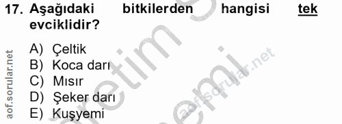 Soru 17