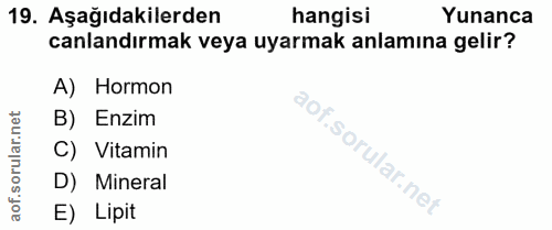 Soru 19