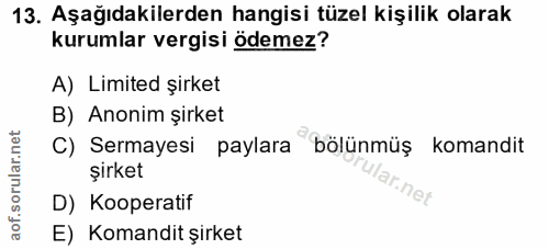 Soru 13
