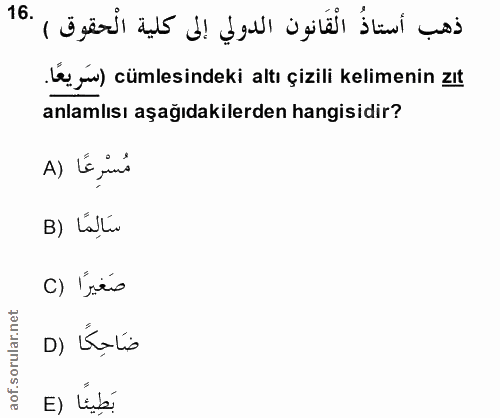 Soru 16