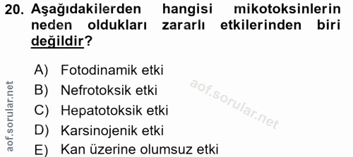 Soru 20