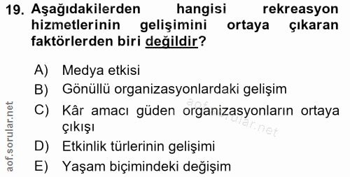 Soru 19