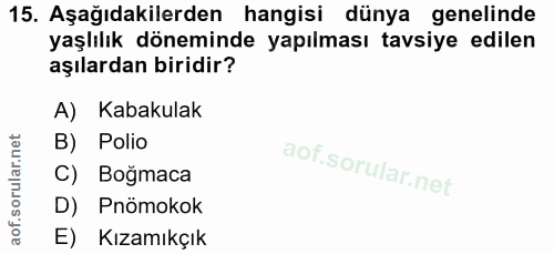 Soru 15