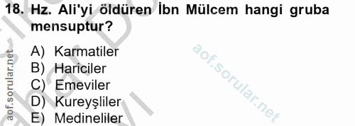 Soru 18