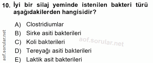 Soru 10
