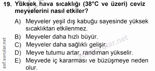 Soru 19