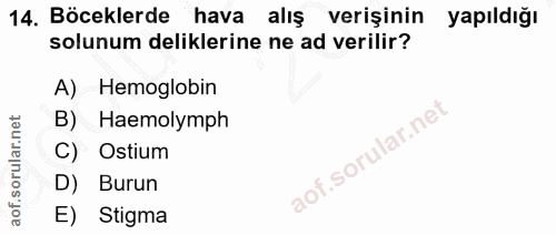 Soru 14