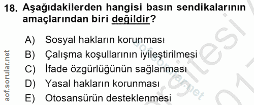 Soru 18