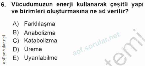 Soru 6