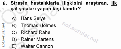 Soru 8