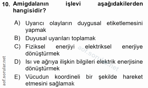 Soru 10