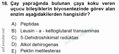 Soru 18