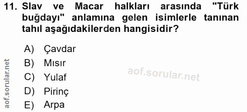 Soru 11