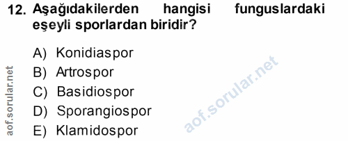 Soru 12
