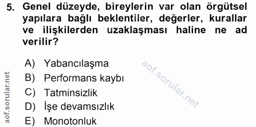 Soru 5