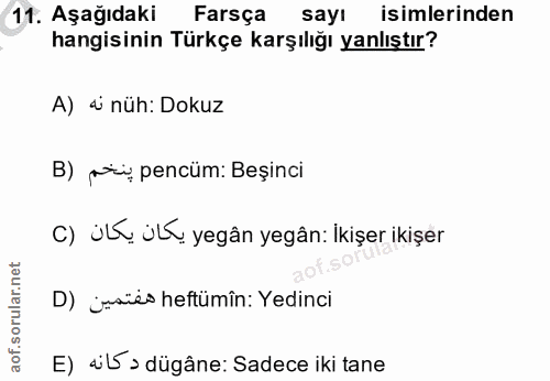 Soru 11