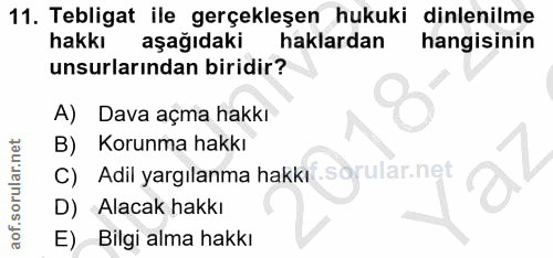 Soru 11