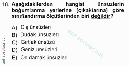 Soru 18