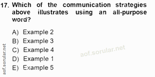 Soru 17