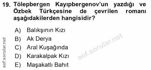 Soru 19