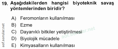 Soru 19