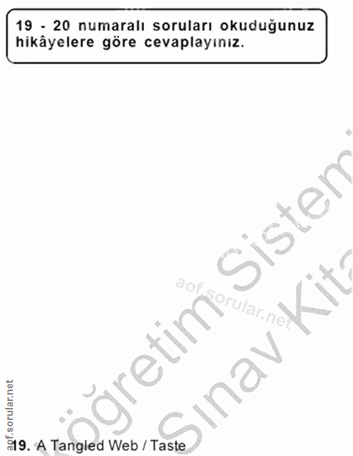 Soru 19