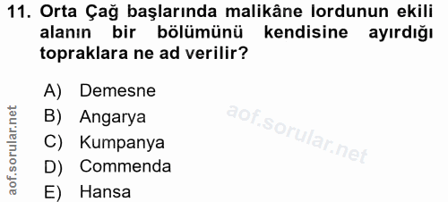 Soru 11