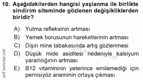 Soru 10