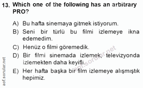Soru 13