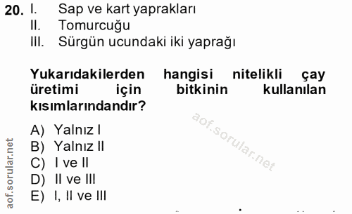 Soru 20