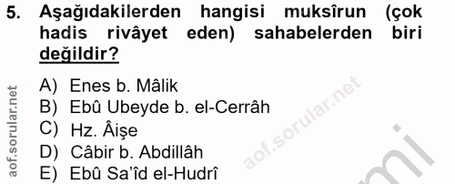 Soru 5