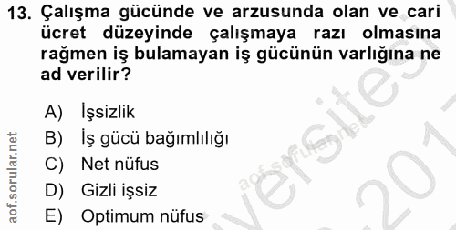 Soru 13