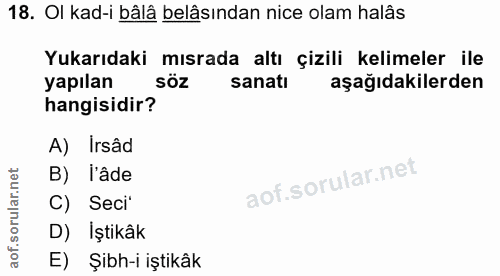 Soru 18