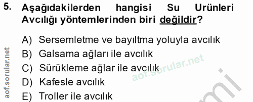 Soru 5
