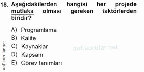 Soru 18