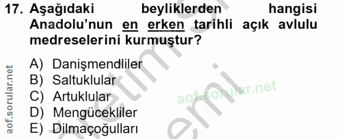 Soru 17