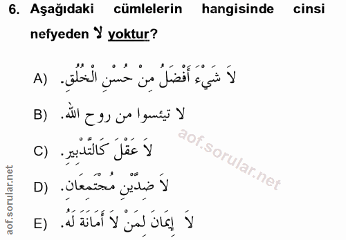Soru 6