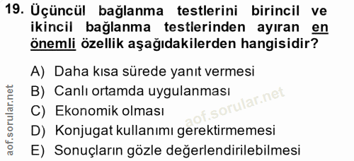Soru 19