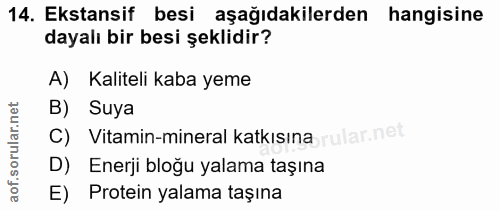 Soru 14