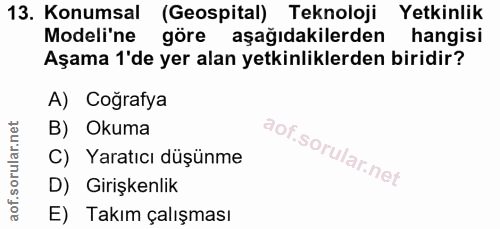 Soru 13