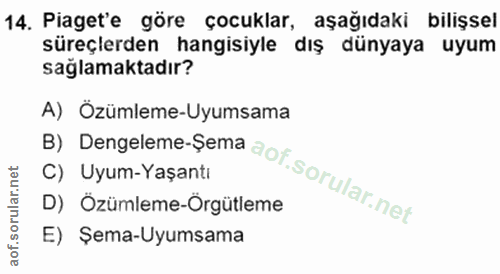 Soru 14