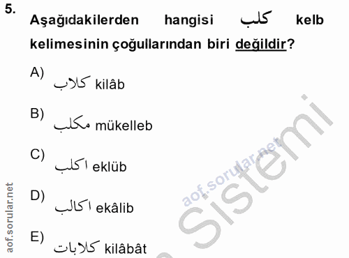 Soru 5