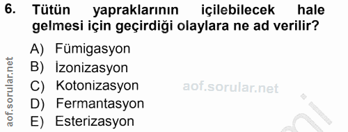 Soru 6