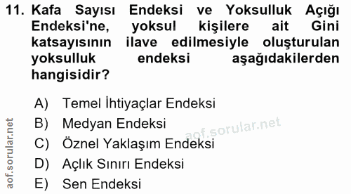Soru 11