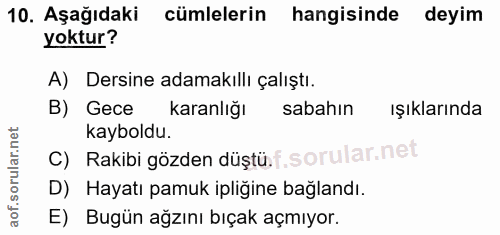 Soru 10