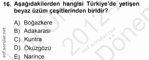 Soru 16