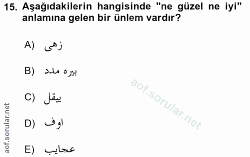 Soru 15
