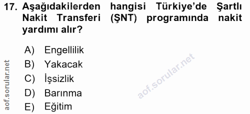 Soru 17